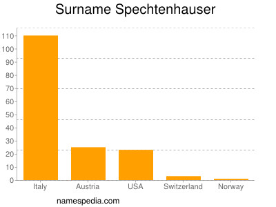 Familiennamen Spechtenhauser