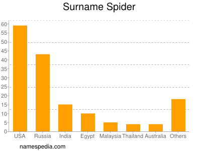 Familiennamen Spider