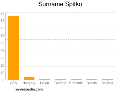 Familiennamen Spitko