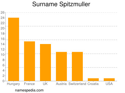Surname Spitzmuller