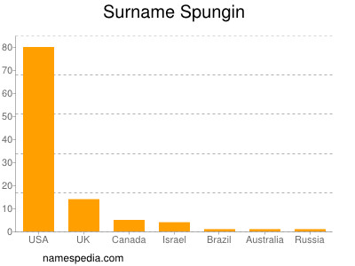 Familiennamen Spungin