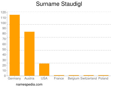 Surname Staudigl