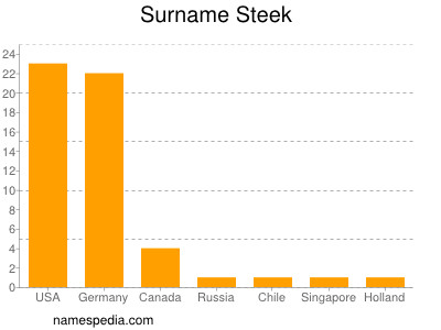 Surname Steek