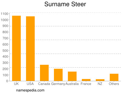 Familiennamen Steer