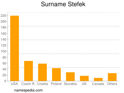 Familiennamen Stefek