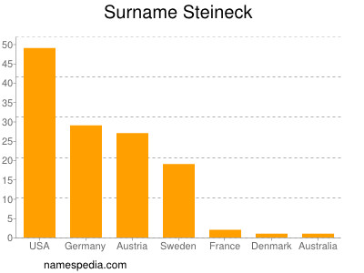 Surname Steineck