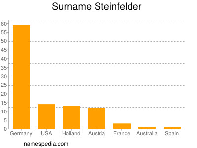 Familiennamen Steinfelder