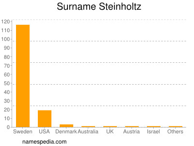 Familiennamen Steinholtz