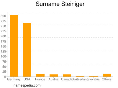 Familiennamen Steiniger