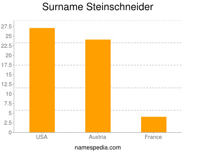 Surname Steinschneider