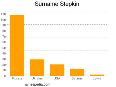 Familiennamen Stepkin