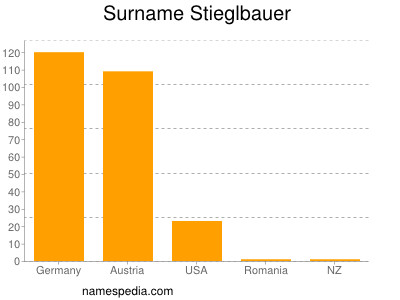 Familiennamen Stieglbauer