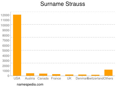 Familiennamen Strauss