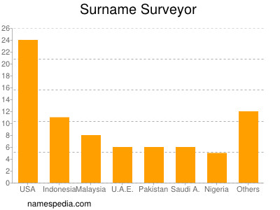 Familiennamen Surveyor