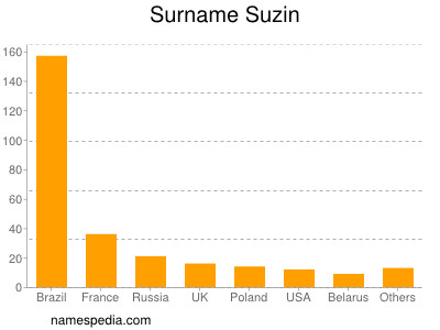 Familiennamen Suzin