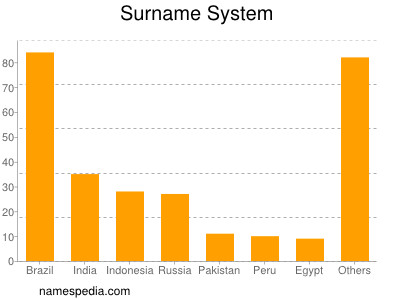 Surname System