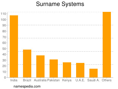 Surname Systems