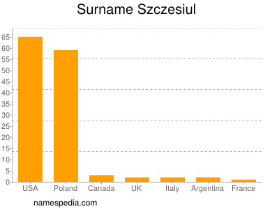 Familiennamen Szczesiul