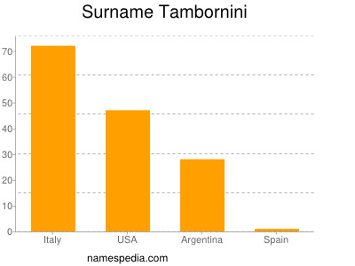 Surname Tambornini
