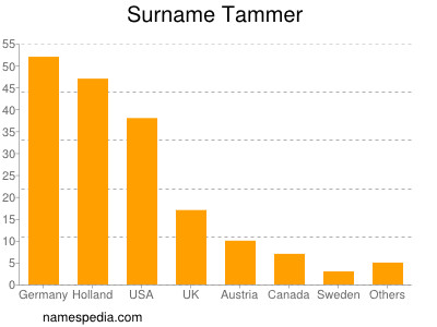 Surname Tammer