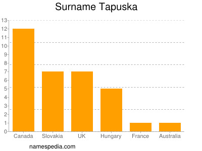Familiennamen Tapuska