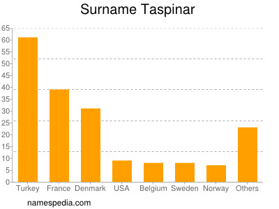 Familiennamen Taspinar