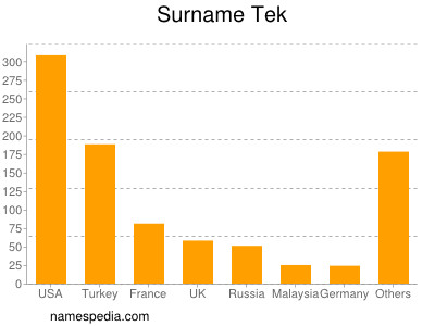 Surname Tek