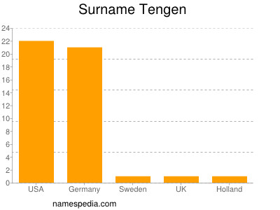 Familiennamen Tengen