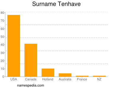 Familiennamen Tenhave