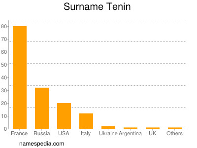 Surname Tenin