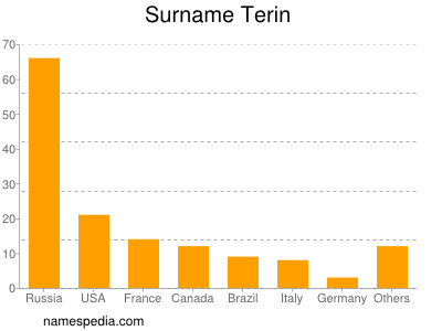 Surname Terin