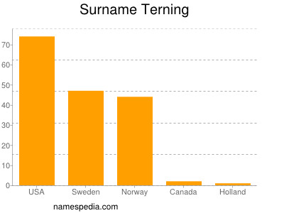Surname Terning