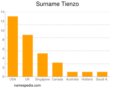 Familiennamen Tienzo