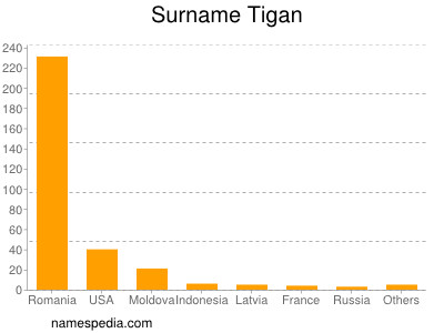 Familiennamen Tigan