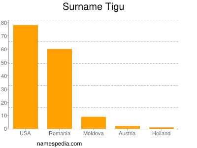 Familiennamen Tigu