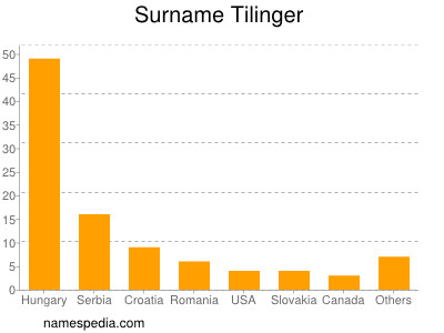 Surname Tilinger