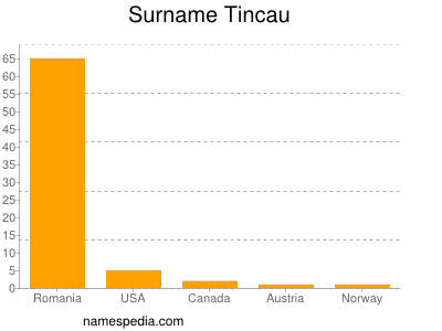 Familiennamen Tincau