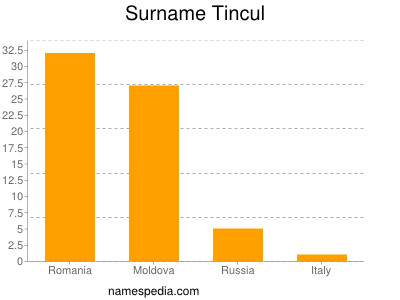 Surname Tincul