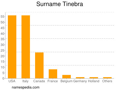 Surname Tinebra