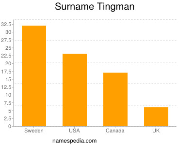Familiennamen Tingman