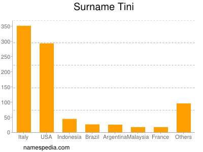 Familiennamen Tini