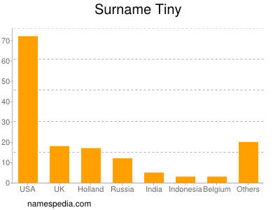 Surname Tiny