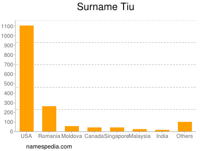 Familiennamen Tiu