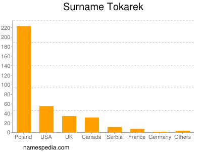 Familiennamen Tokarek