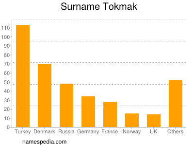 Familiennamen Tokmak