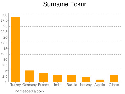 Familiennamen Tokur