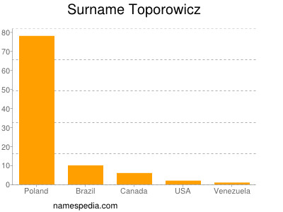 Familiennamen Toporowicz