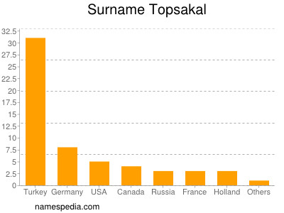 Familiennamen Topsakal