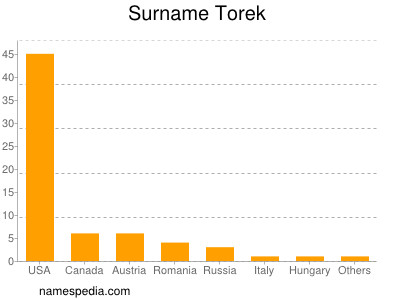 Familiennamen Torek