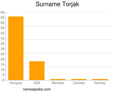 Familiennamen Torjak